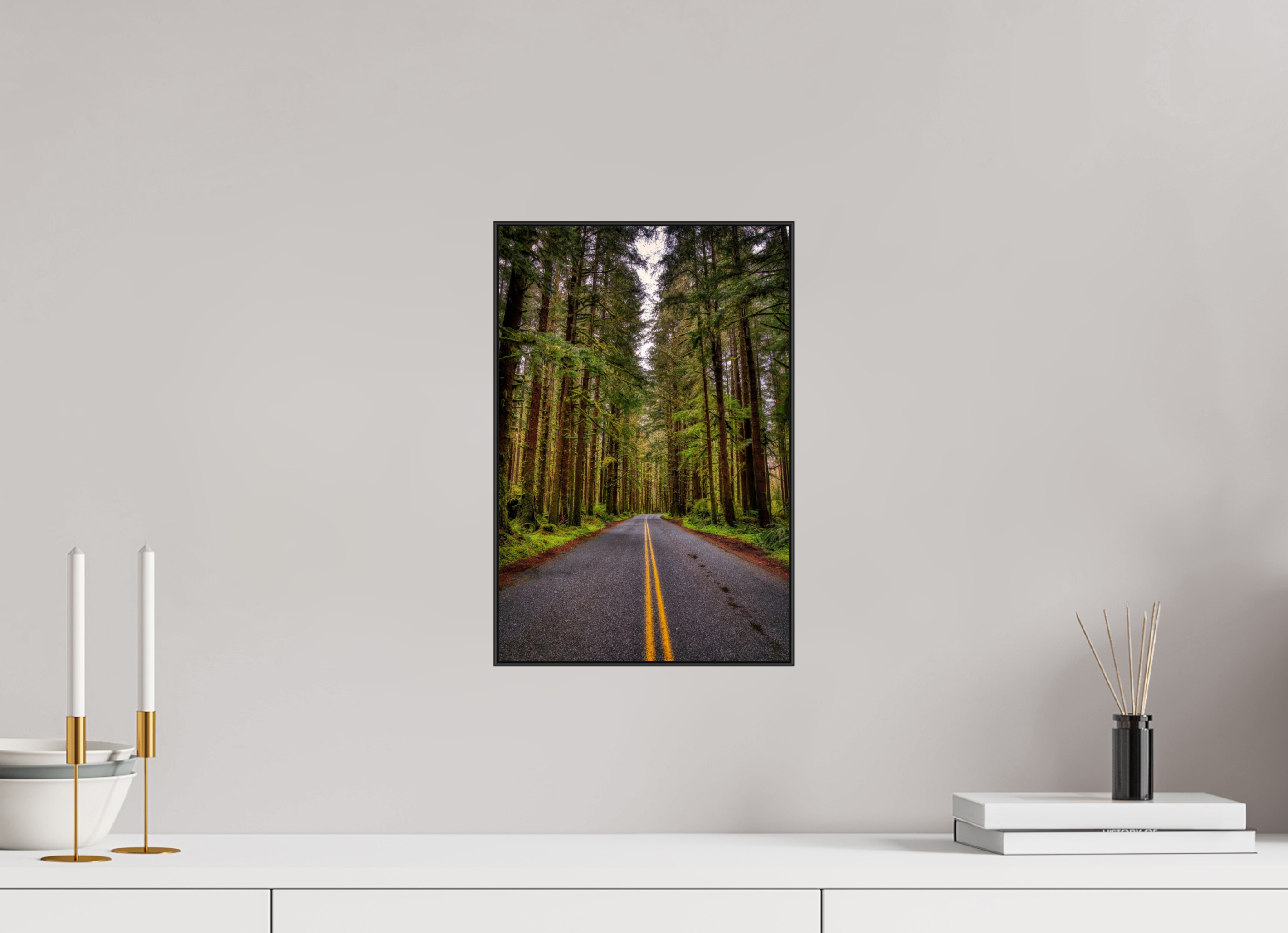 10 x 15″, Photo Print Aluminum (Black) A Drive Through Olympic National Park