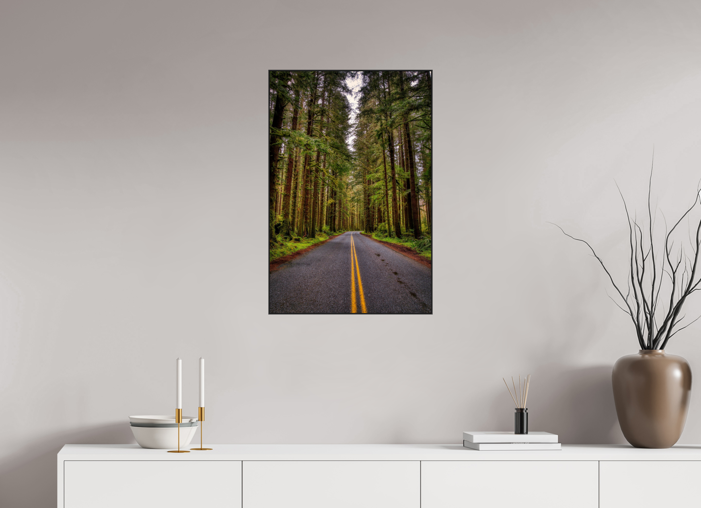 20 x 30″, Photo Print Aluminum (Black) A Drive Through Olympic National Park