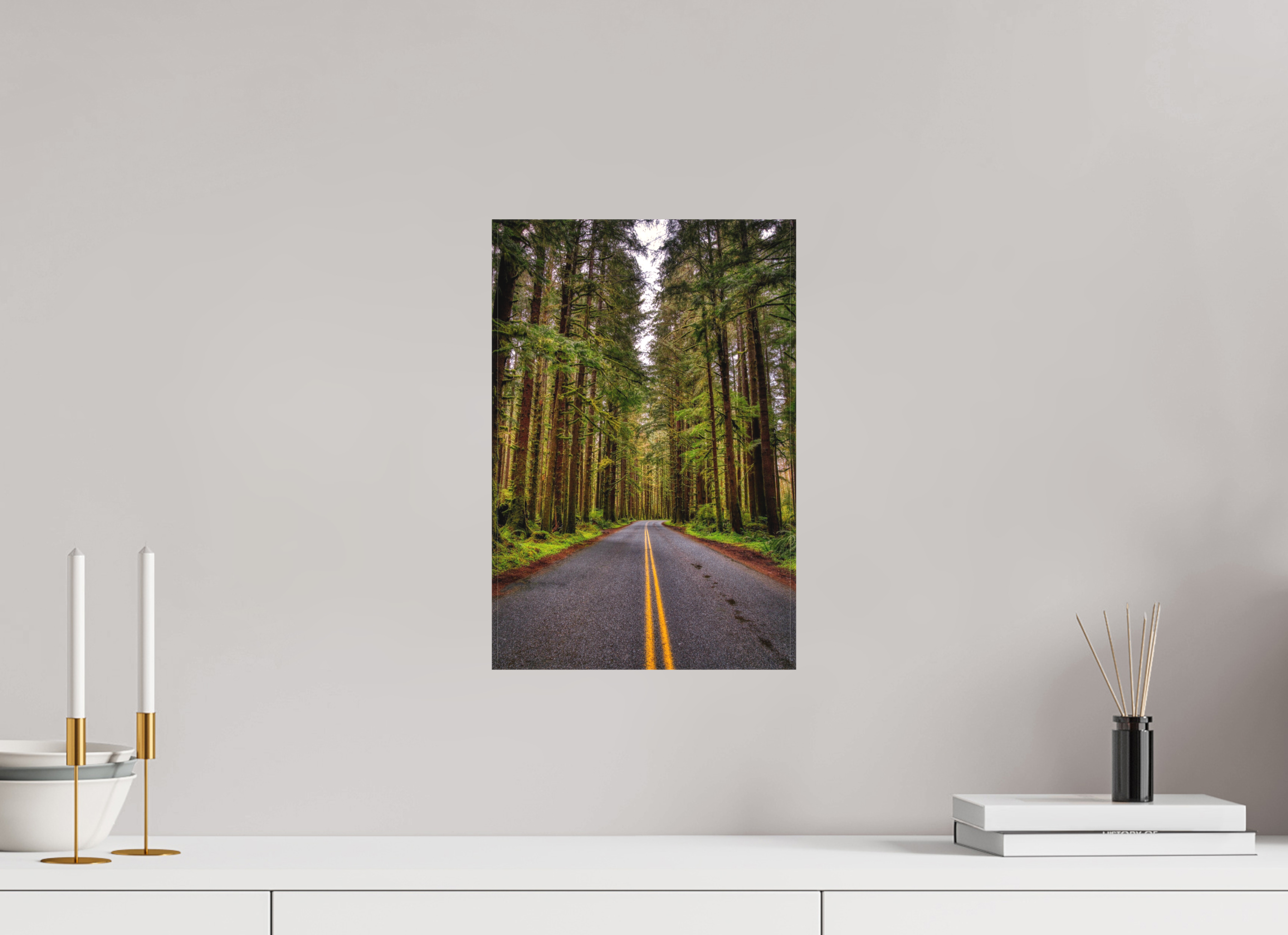 10 x 15″, Matte Canvas A Drive Through Olympic National Park