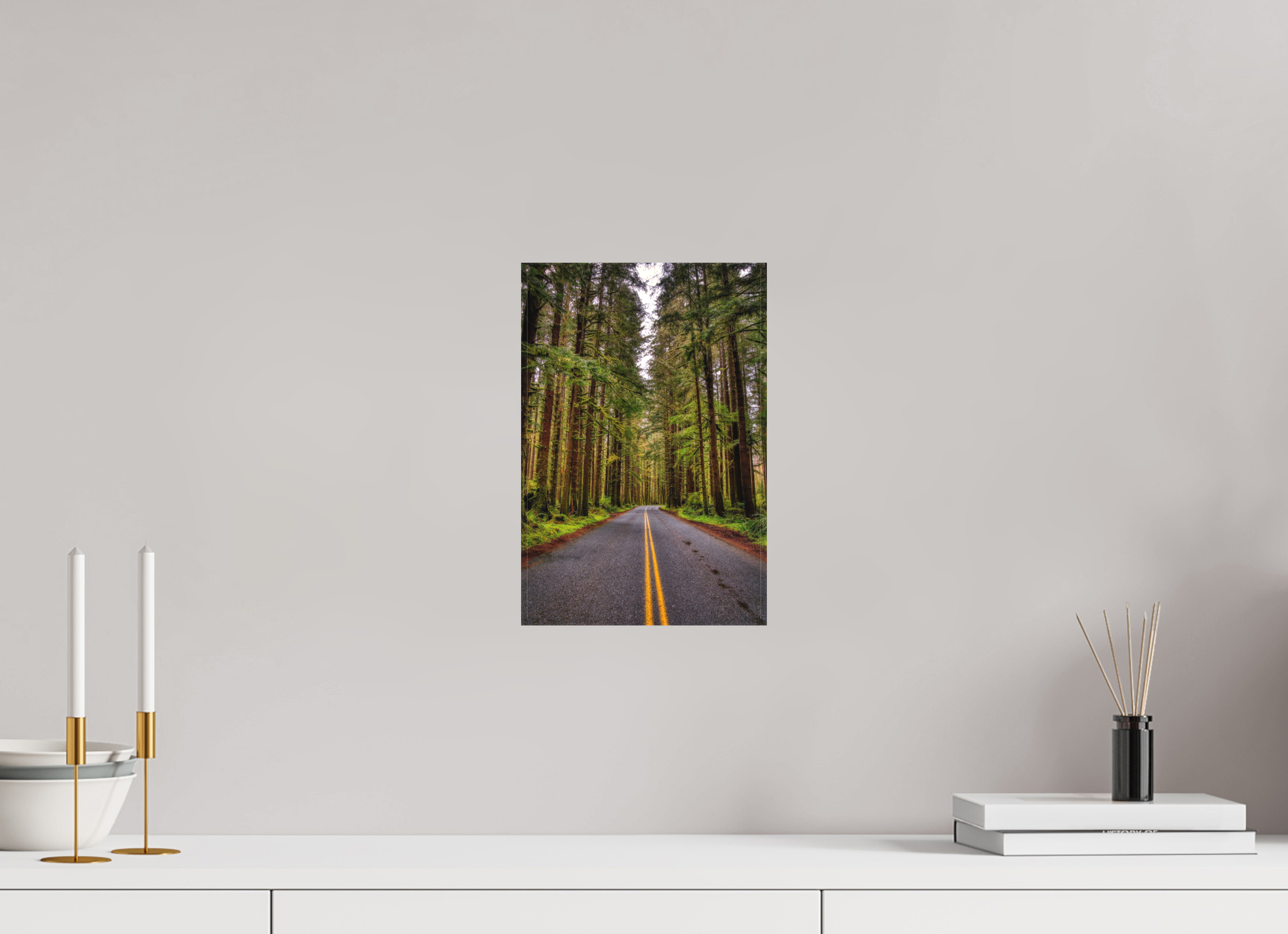 8 x 12″, Matte Canvas A Drive Through Olympic National Park