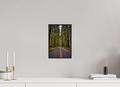8 x 12″, Famed Aluminum (Black) A Drive Through Olympic National Park