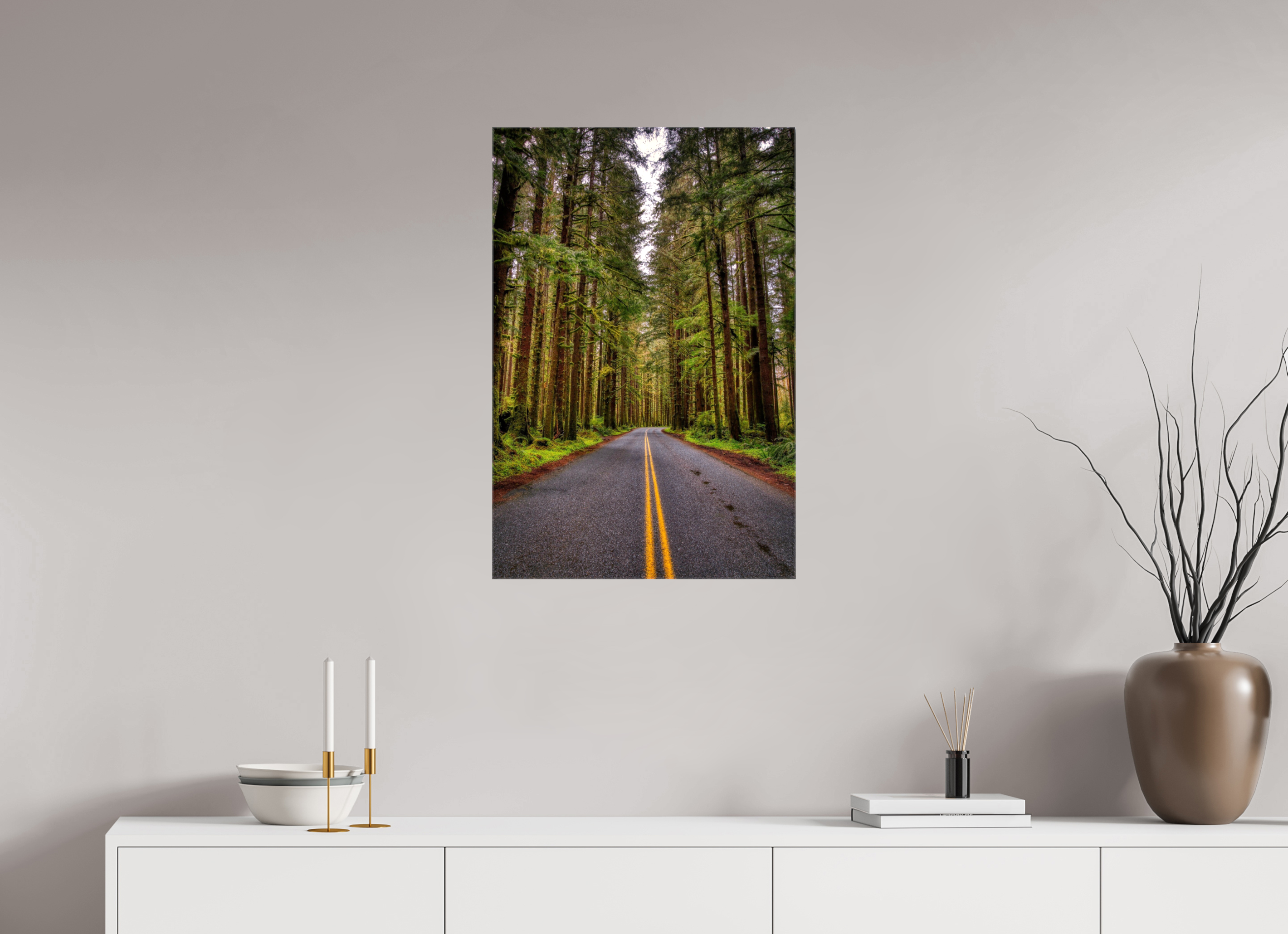 20 x 30″, Glossy Canvas A Drive Through Olympic National Park